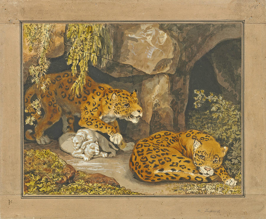 A leopard and leopardess with their cubs at the entrance of a cave Drawing by Johann Heinrich Wilhelm Tischbein