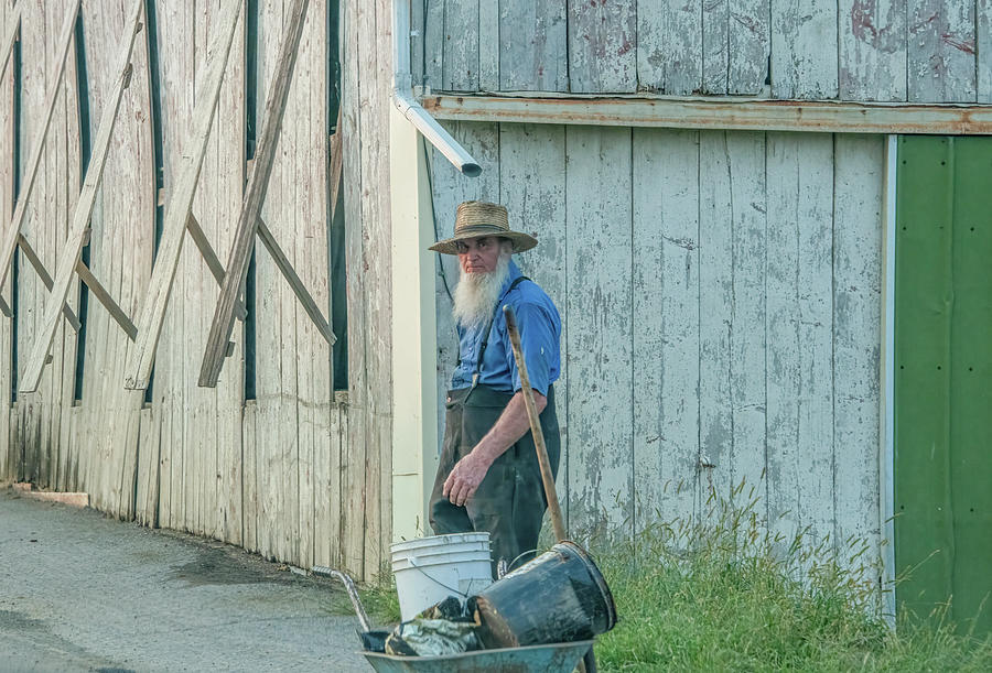 A Life Well Lived on an Amish Farm Photograph by Marcy Wielfaert