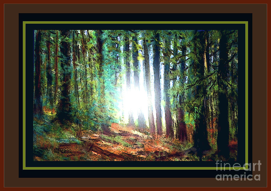 A Light in the Forest Photograph by Shirley Moravec