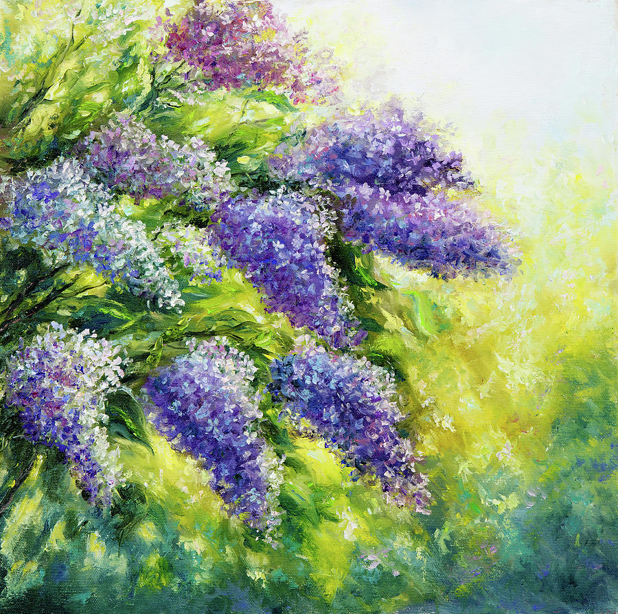 Lilac: Portrait of a Flowering Shrub