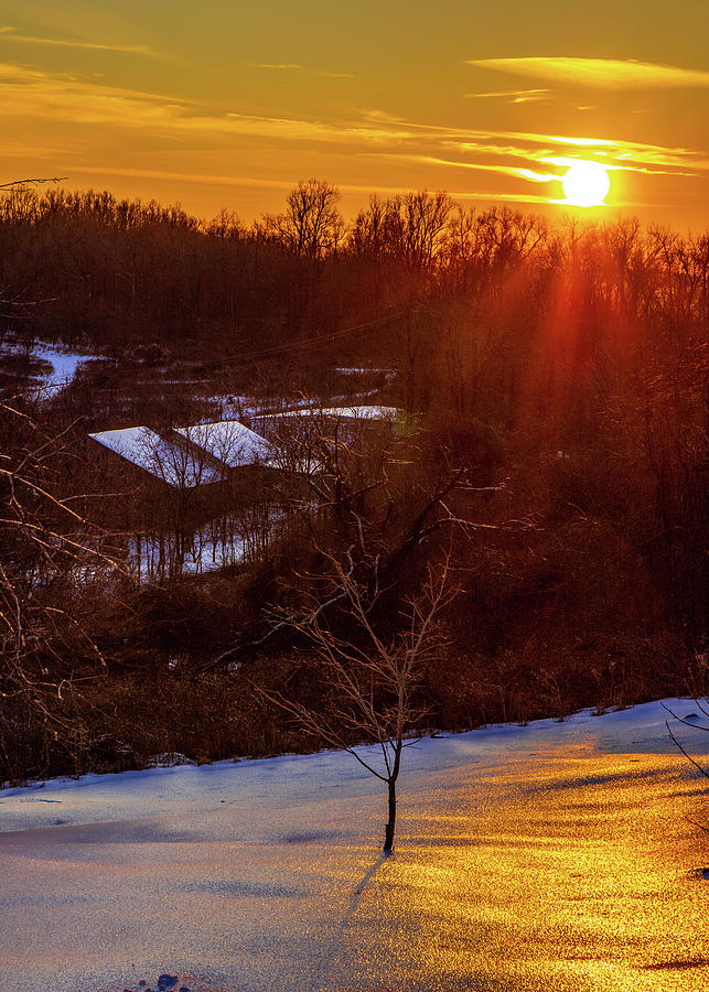 A Linden Winter Evening Photograph