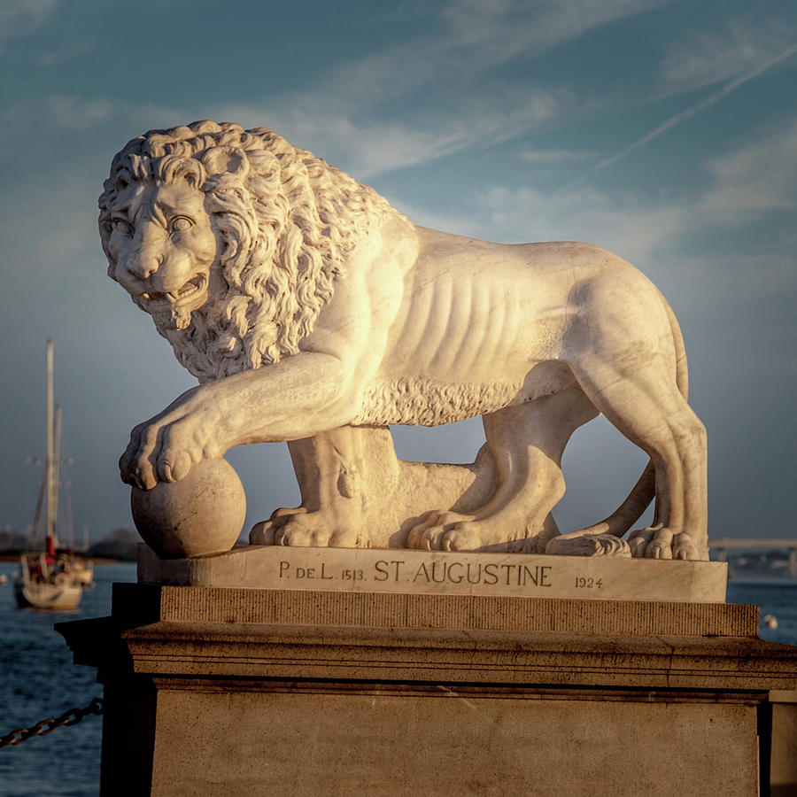 A Lion of St Augustine Photograph by W Chris Fooshee