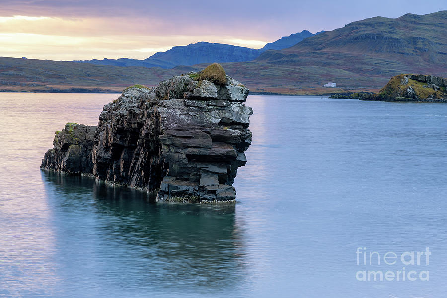 A lion shaped basalt rock sits in the water in the East Fjord re Photograph by Jane Rix