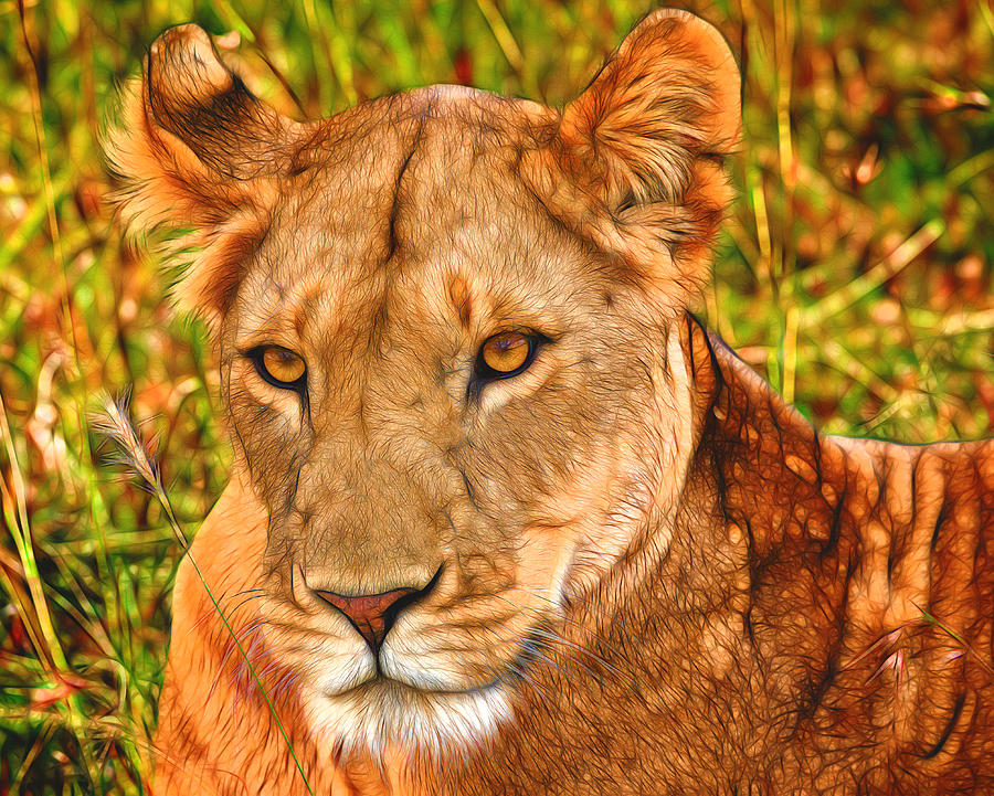 A Lioness in Kenya - Stylized Photograph by Mitchell R Grosky