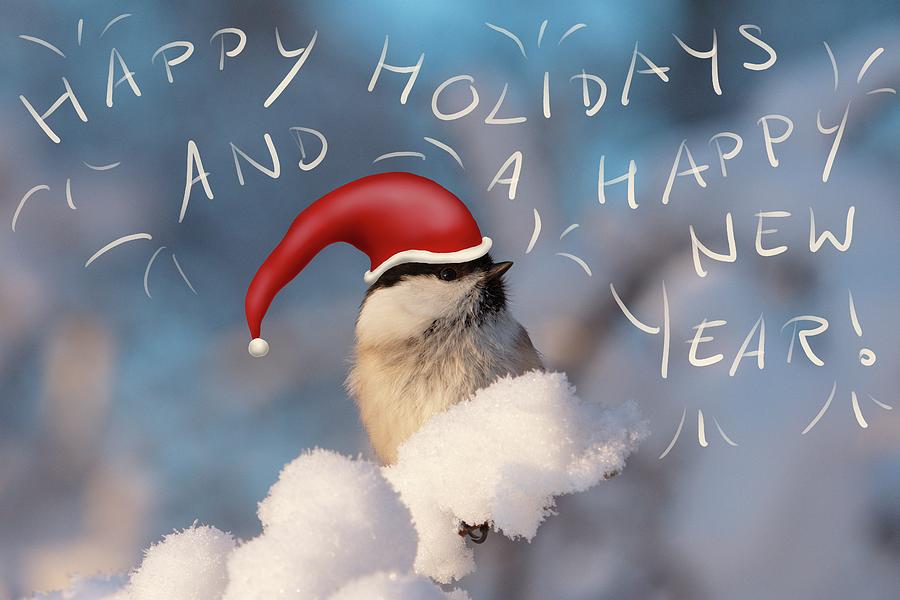 A little bird wishes Happy Holidays and a Happy New Year Photograph by Ulrich Kunst And Bettina Scheidulin