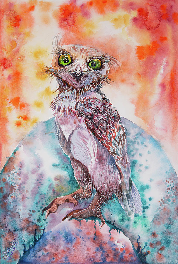 Owl Painting - A little bit crazy Burrowing Owl Jester by Varvara Medvedeva Owl Painting - A little bit crazy Burrowing Owl Jester by Varvara Medvedeva