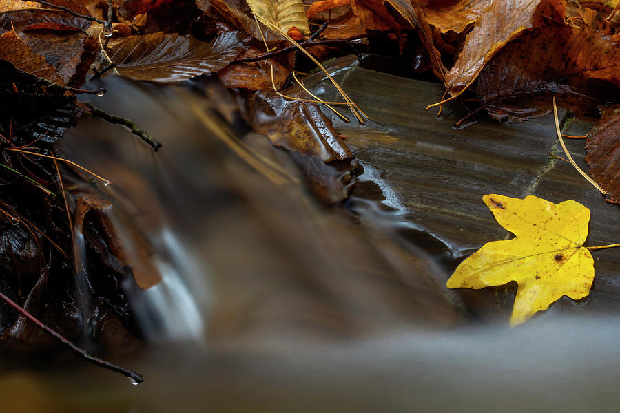 A little cascade in the Carpathian Mountains in fall season  Photograph by Sebastian Radu