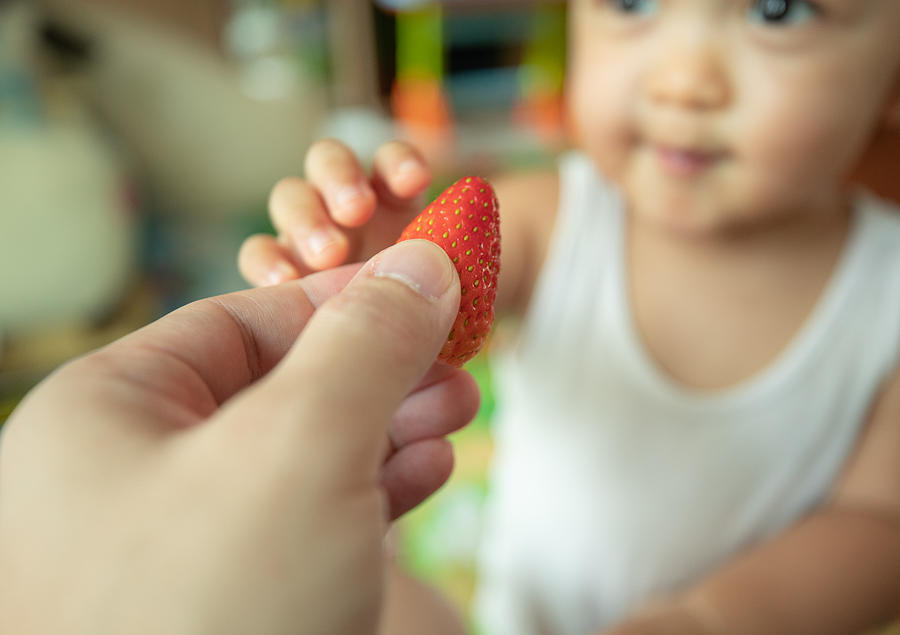 A little child is getting and enjoying to prepare to eat strawberry in his fathers hand. Photograph by Teerat