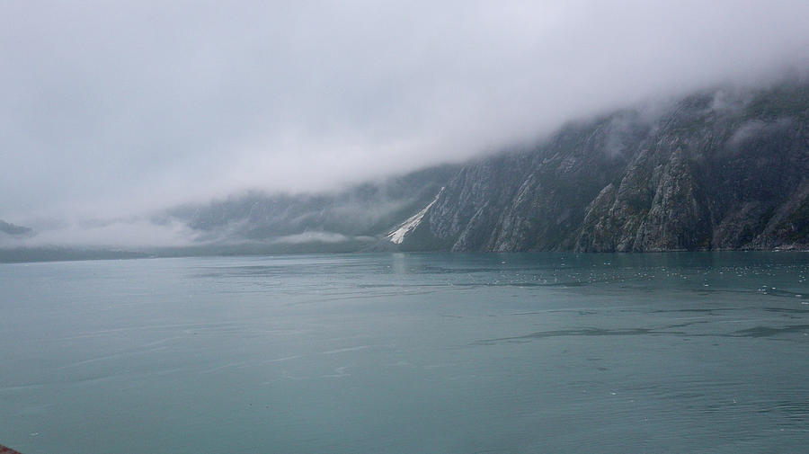 A Little Glacier Bay Coastal Photograph by Ed Williams