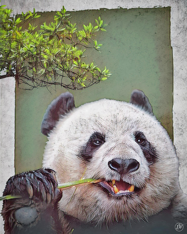 A Little Miday Snack by Rick Wiles A Little Miday Snack by Rick Wiles