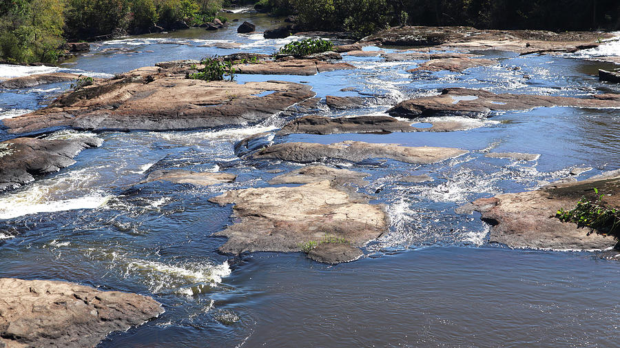 A Little Towaliga River Serenity Photograph