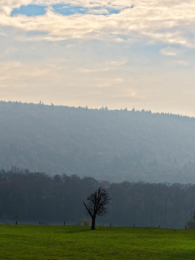 Landscape Photograph - A Lone Tree in the Field by Jussi Laasonen Landscape Photograph - A Lone Tree in the Field by Jussi Laasonen