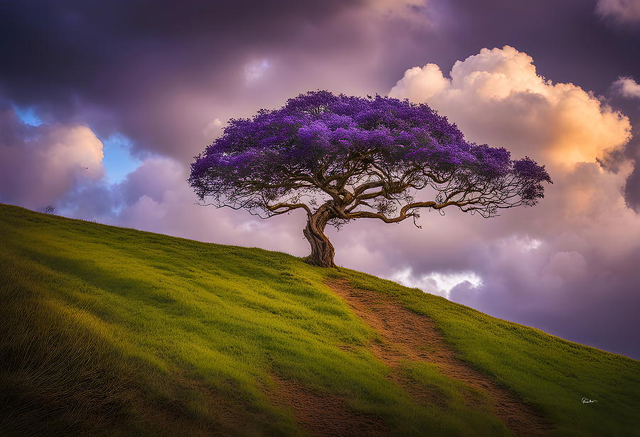 A Lonely Jacaranda Tree Photograph by Russ Harris