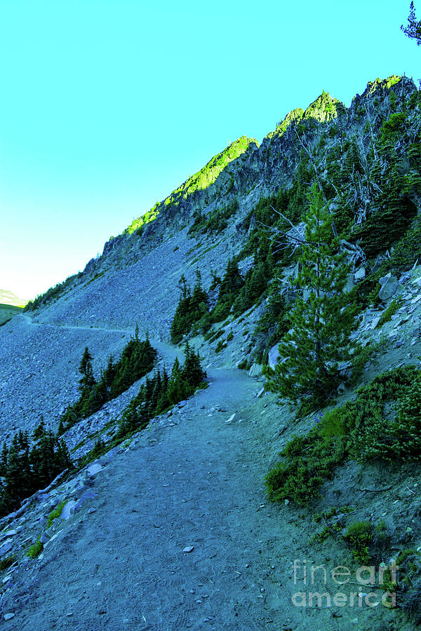Mount Rainier National Park Photograph - A long long trail by Jeff Swan