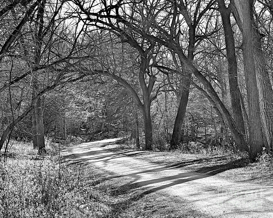 A Long Trail A-winding In Bw Photograph
