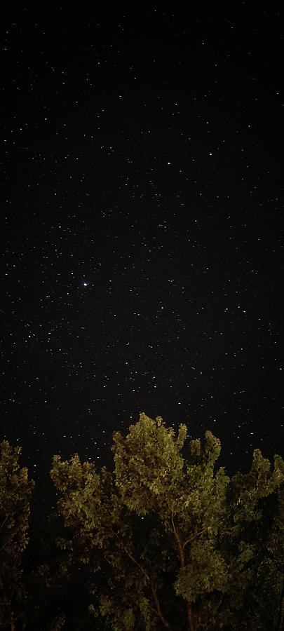 A Long Way Up Photograph by Destiny Fisher - Fine Art America