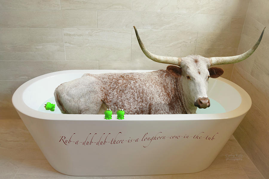 A longhorn in a tub Photograph by Cathy Valle