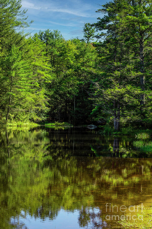 A Look At Beaman Pond In Otter River State Forest Photograph by Douglas ...