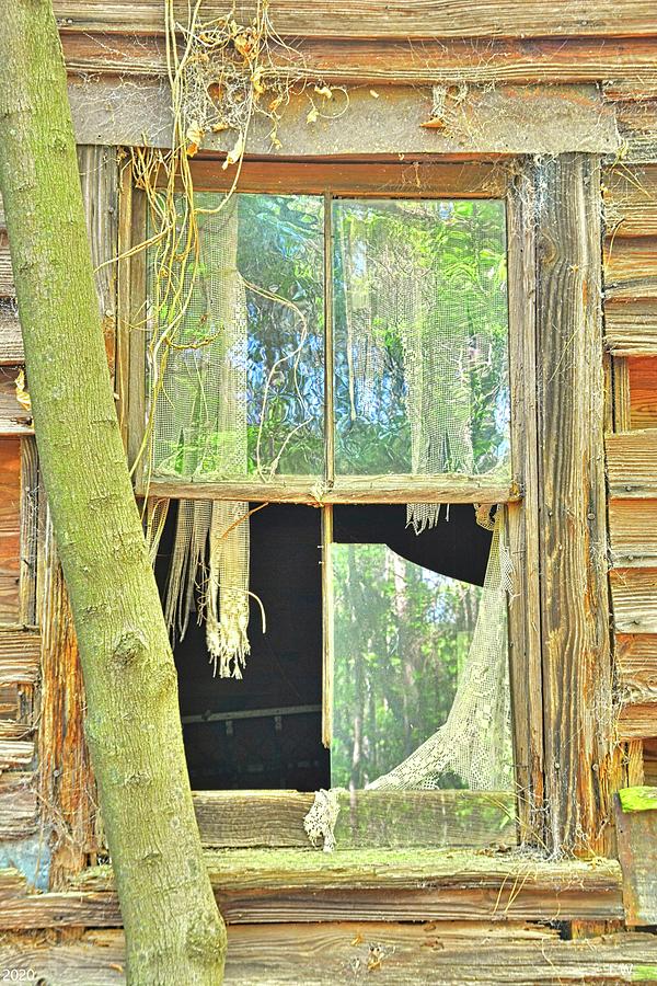 A Look Into The Past Vertical Photograph by Lisa Wooten