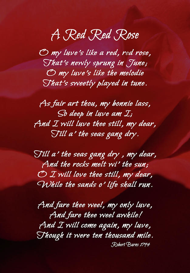 A Love Poem Digital Art by HH Photography of Florida