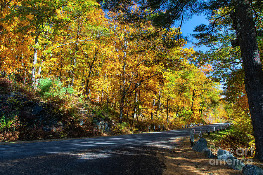 A Lovely Autumn Hike Quabbin Reserve Western Massachusetts Photograph