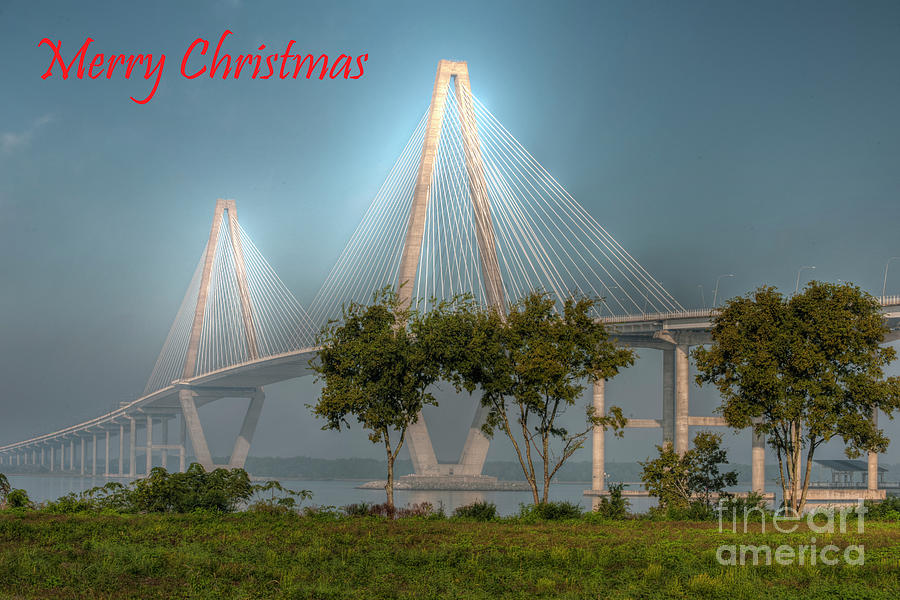 A Lowcountry Merry Christmas Photograph