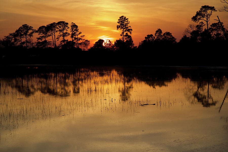 A Lowcountry Sunset Photograph by Dennis Schmidt