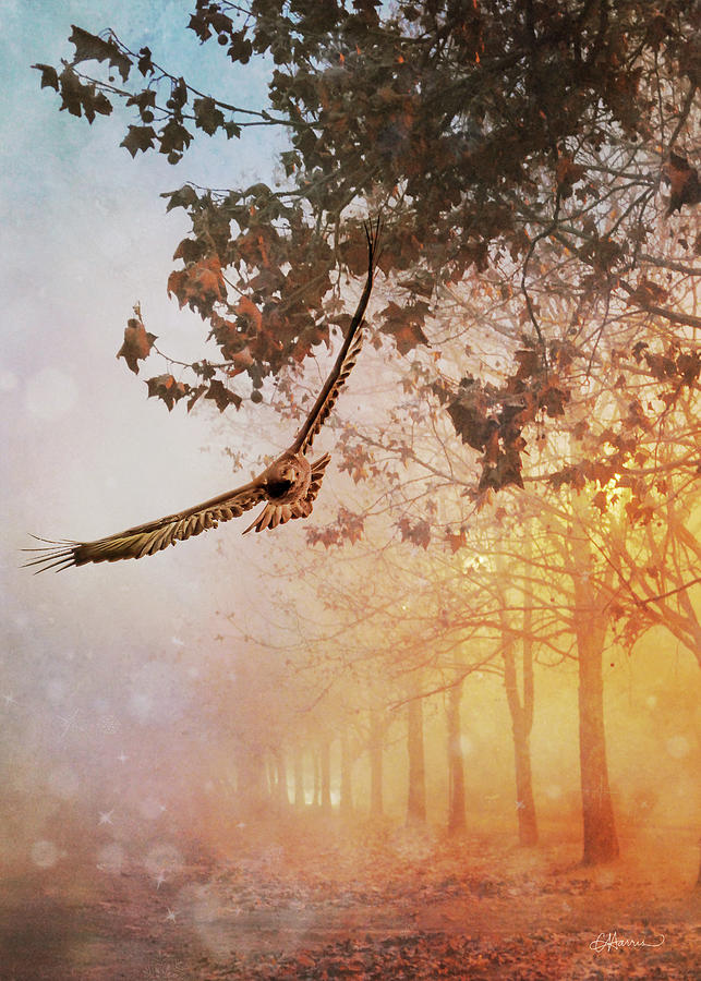 A Magical Morning Digital Art by Cindy Collier Harris