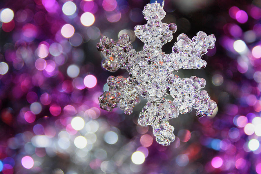 A magical snowflake Photograph by Maria Dimitrova A magical snowflake Photograph by Maria Dimitrova