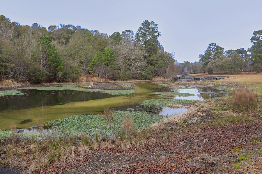 A Magnolia Springs Longer Look Photograph by Ed Williams