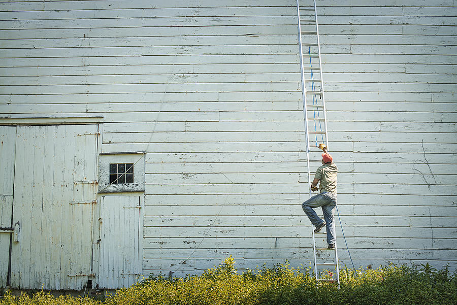 A man climbing a ladder propped against a clapboard barn or farm building. Photograph by Mint Images/ Tim Pannell