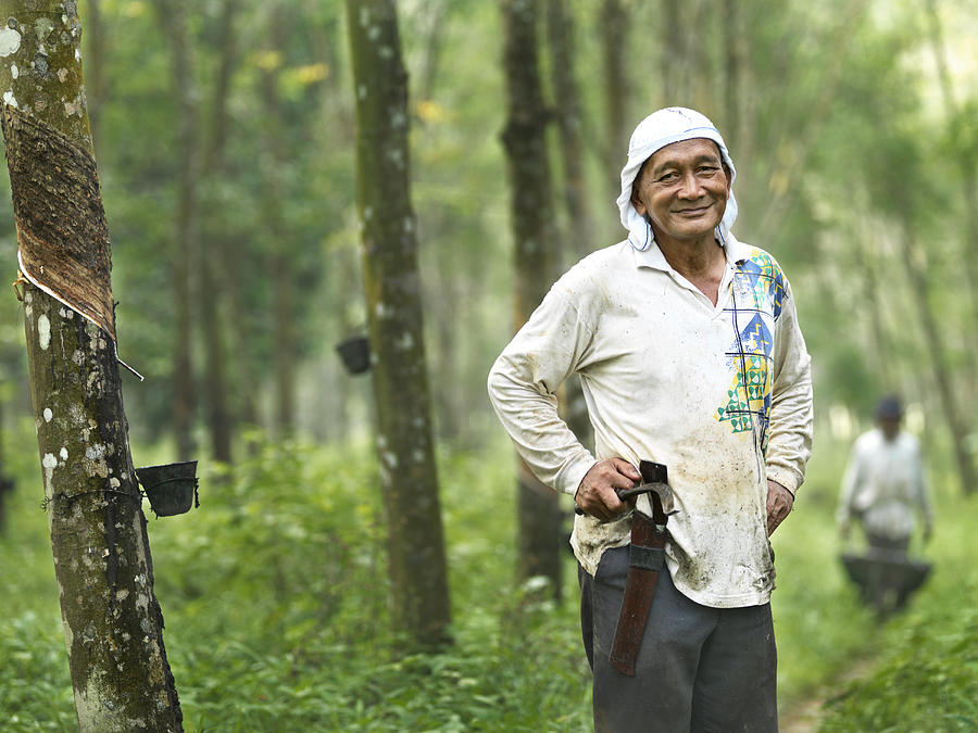 A man stands proudly in a rubber tree farm. Photograph by xPACIFICA