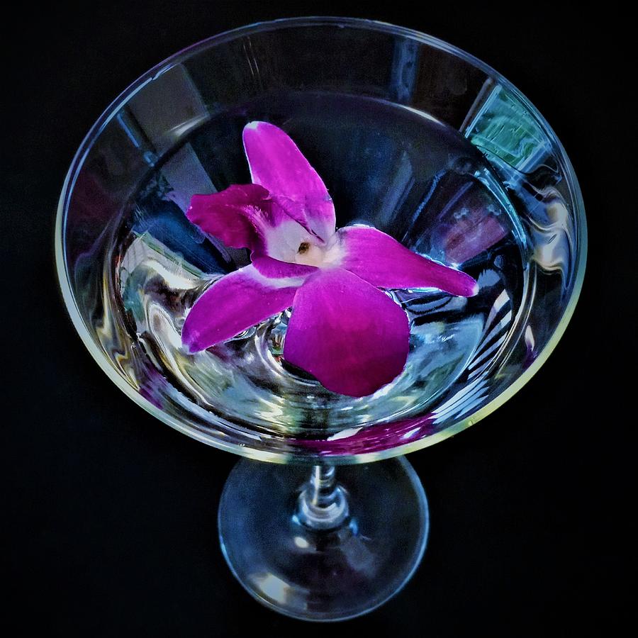 A Martini Swim Photograph by Angela Davies