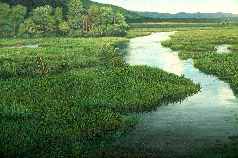 A Meandering Wetland Painting by Randall Bennett - Fine Art America