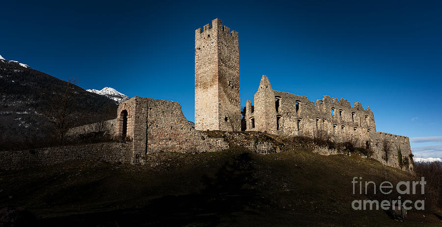 A medieval castle shines in the sun Photograph by The P