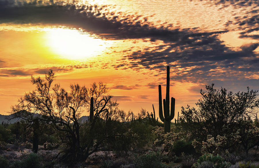 A Mellow Desert Evening Photograph by Saija Lehtonen - Fine Art America