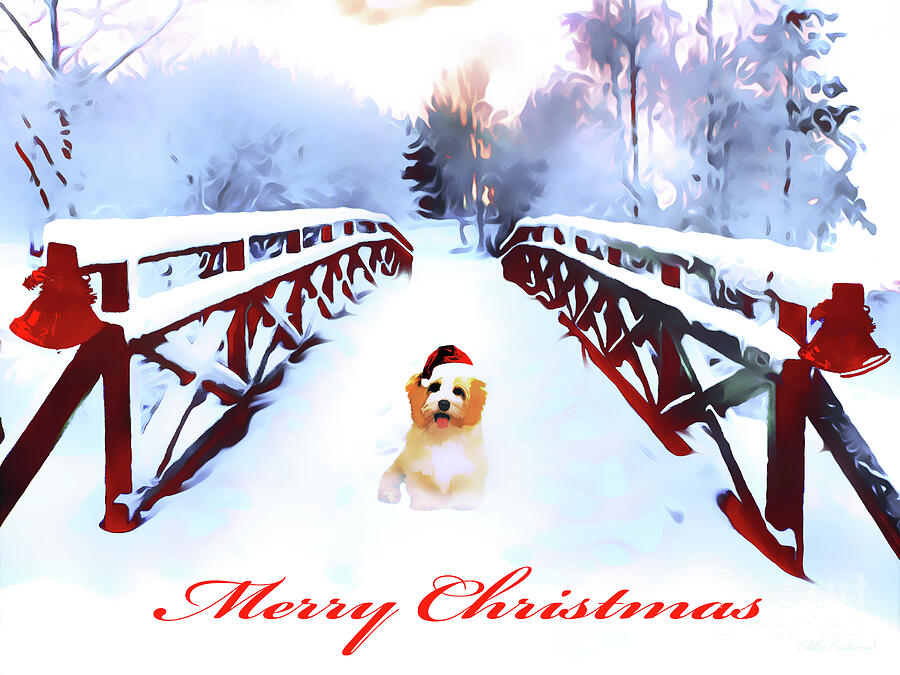 A Merry Christmas Digital Art by Eddie Eastwood