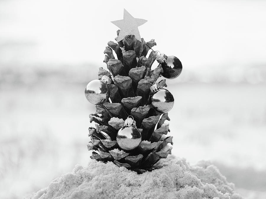 A Merry Little Christmas  Photograph by Laura Fasulo