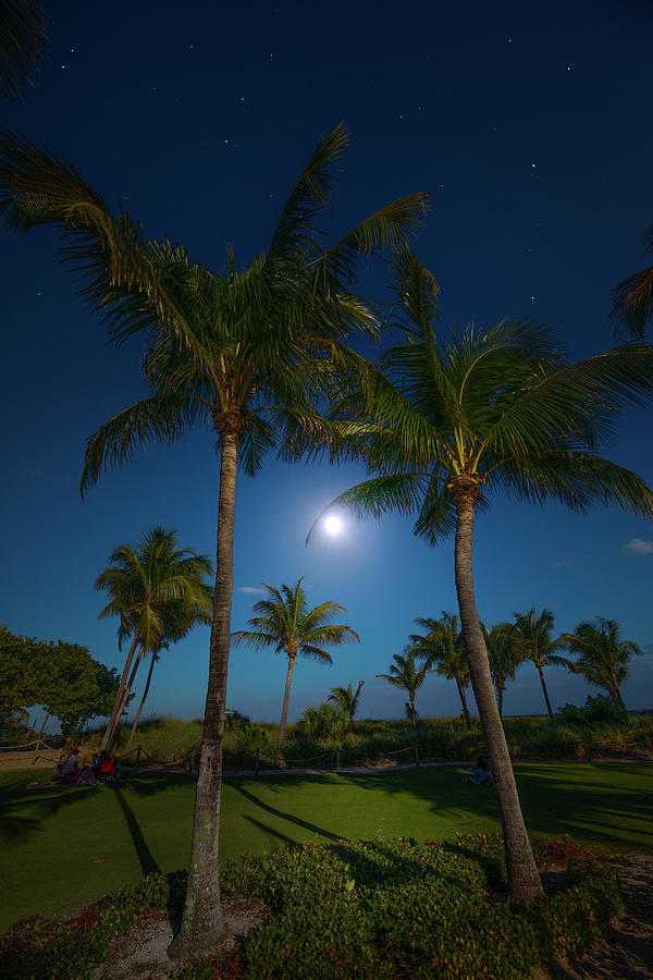 A Mesmerizing Moon Photograph by Mark Andrew Thomas