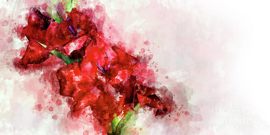 A Mess of Red Gladioli Digital Art by Ann Garrett
