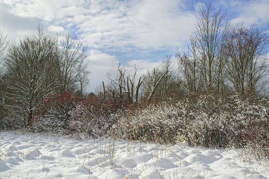 A Michigan Snowy Scene Photograph