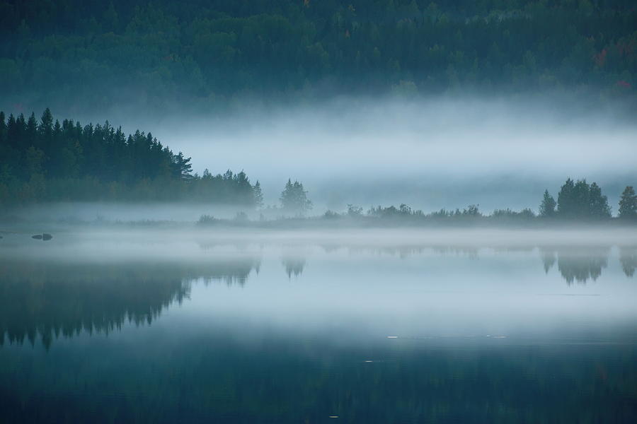 A misty forest growing at the shore of a lake is reflected in th Photograph by Ulrich Kunst And Bettina Scheidulin