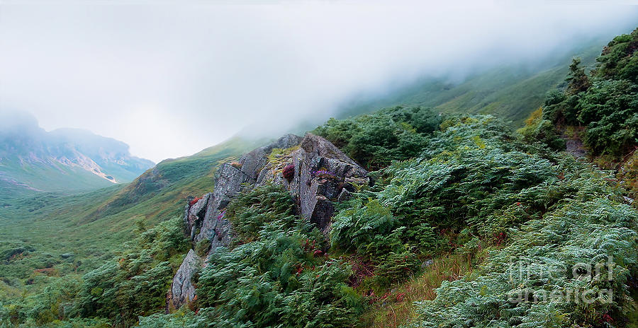 A Misty Langdale Hillside Photograph by Brian Watt