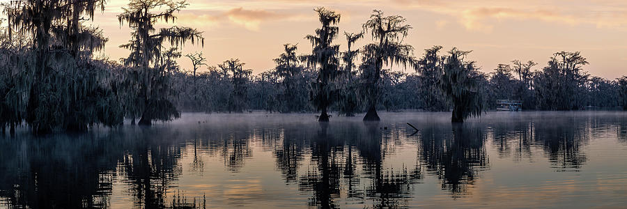 A Misty Morning at Lake Martin Photograph by Bryan Moore