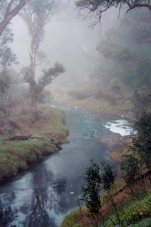 A Misty Morning in Bridgetown 2. Western Australia Photograph by Elaine Teague