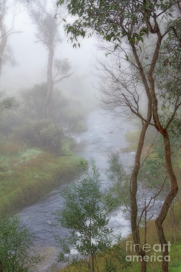 A Misty Morning in Bridgetown, Western Australia Photograph by Elaine Teague