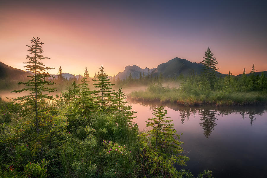 A Misty Morning in Mountains Photograph by Henry w Liu