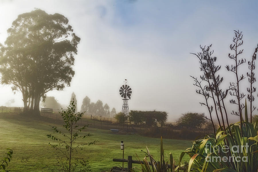 A Misty Morning in Westerway 4 Photograph by Elaine Teague