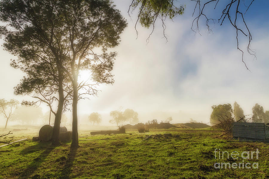 A Misty Morning in Westerway, Tasmania, Australia 2 Photograph by Elaine Teague