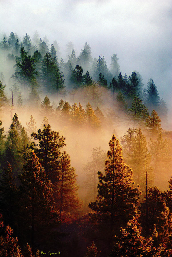 A Misty Mountain Morning  Photograph by Ben Upham III